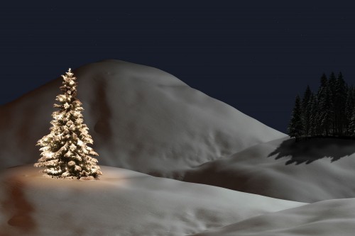 Package Ullrhaus: Ullrs White Christmas